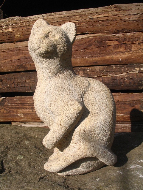 Katze,Humpel (2).JPG